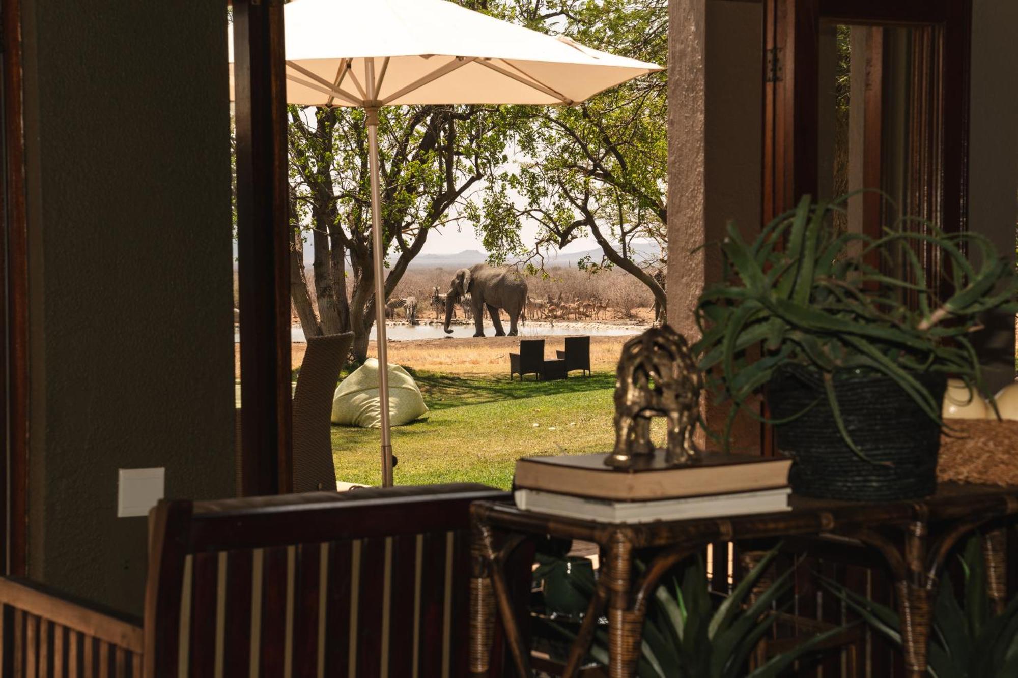 Last Word Madikwe Madikwe Game Reserve Exterior foto
