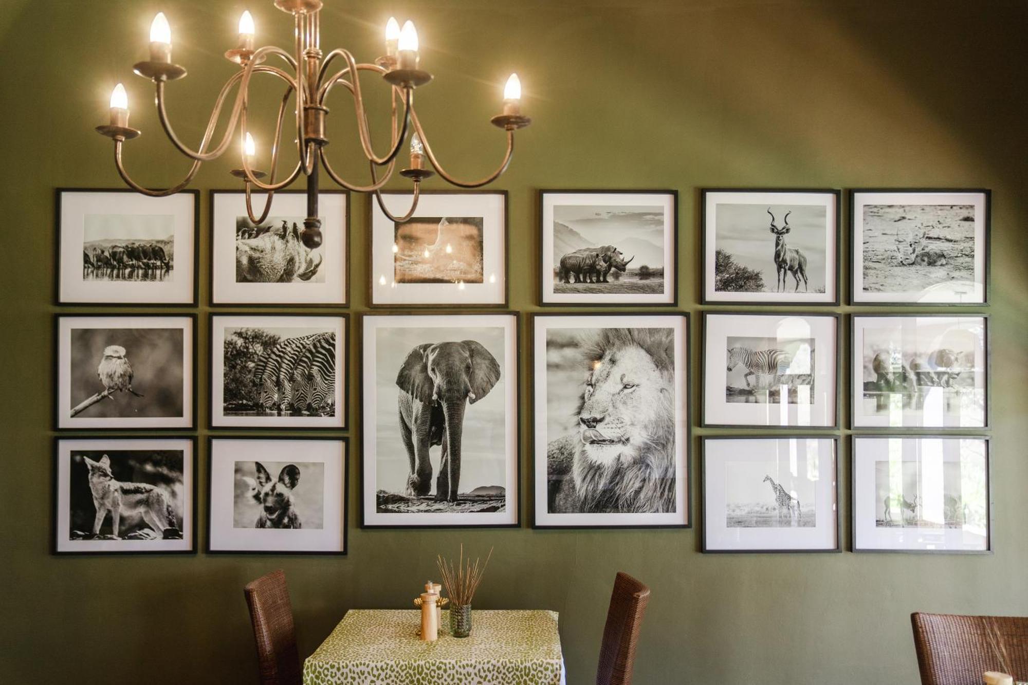 Last Word Madikwe Madikwe Game Reserve Exterior foto